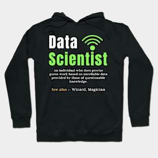 Data scientist gift Hoodie